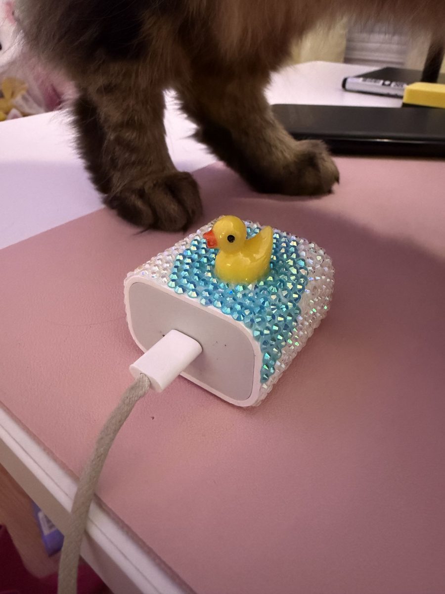 Cache-chargeur « Canard à la mer »